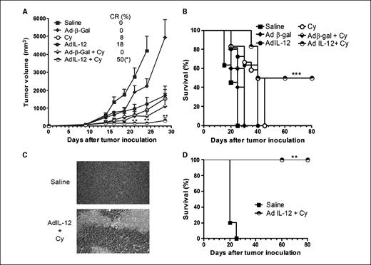 Fig. 2. A, antitumor activity of cyclophosphamide, AdIL-12, and their combination in CT26 tumor model. BALB/c mice were s.c. injected with 5 × 105 CT26 cells into the right flank (day 0) and tumors were allowed to reach 85 mm3 before treatment was started. Animals were distributed into different groups: saline, cyclophosphamide (50 mg/kg i.p., day 8), AdIL-12 (109 TCID50 i.t., day 9), cyclophosphamide (50 mg/kg i.p.) plus AdIL-12 (109 TCID50 i.t.), Adβ-Gal (109 TCID50 i.t.), and cyclophosphamide (50 mg/kg i.p.) plus Adβ-Gal (109 TCID50 i.t.). Data are expressed as mean tumor volume (bars, SE). **, P < 0.01, cyclophosphamide and AdIL-12 versus AdIL-12 plus cyclophosphamide, from day 18 onward. Student's t test was used to compare tumor sizes among different groups. B, survival of animals after treatment with each single treatment and the combination (Kaplan-Meier, log rank test, P < 0.001). C, histologic examination of tumor samples from mice treated with saline and combination of AdIL-12 plus cyclophosphamide. Representative H&E-stained sections. D, long-term protection against CT26 cells rechallenge at distant sites. CT26 cells (5 × 105 cells) were s.c. inoculated on the left flank of animals that had been cured after treatment of established tumor with the combination of cyclophosphamide and AdIL-12 (4 wk after complete regression). Age- and sex-matched naive animals inoculated with CT26 cells were also included as control. Deaths of animals were documented, and results were expressed as the percentage of animal survival (Kaplan-Meier, log rank test, P < 0.01).