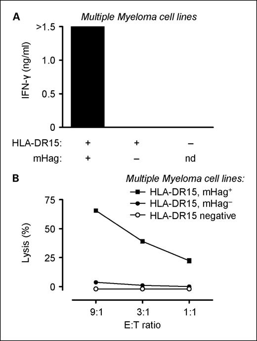 Fig. 2. 1GF5 recognizes and lyses multiple myeloma cell line UM9. IFN-γ response (A) and cytotoxic activity (B) of 1GF5 against three multiple myeloma cell lines [UM9 (HLA-DRB1*1501, mHag+), U266 (HLA-DRB1*1501, mHag−), and RPMI (HLA-DRB1*1501 negative)] after 18 h (A) and 6 h (B) of coincubation using different effector-to-target (E:T) ratios. Columns and points, average of triplicate cultures, which are representative of two independent experiments; bars, SEM.