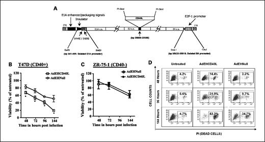 Fig. 1. Schematic of the AdEHCD40L and cytotoxicity of CD40L transgene in human breast cancer cells. A, cloning strategy of the AdEHCD40L construct. The viral E1A promoter was deleted and substituted with a hybrid promoter containing the ERE and the HRE. The gp19K/6.7K E3 region of the adenoviral genome was deleted and replaced by an 800-bp CD40L transgene cassette. This allows for the transcriptional regulation of the CD40L transgene by the endogenous late promoter, which, in turn, is governed by the conditional expression of viral early genes. The wild-type E4 promoter region has been substituted by an E2F-1 promoter to reduce viral replication in normal cells. B and C, enhanced growth-inhibitory activity of AdEHCD40L. The growth-inhibitory effect of AdEHCD40L (•) was compared with that by AdEHNull (○; MOI = 1 pfu/cell) by MTT assay in the CD40+ cell line T-47D (B) and the CD40− cell line ZR-75-1 (C) over 144 h. Values were normalized and expressed as percent of untreated culture. Points, mean (n = 4); bars, SE. *, P <0.05. D, relative cytotoxicity of AdEHCD40L, AdEHNull, and Adv-WT. Cytotoxicity to viral infected T-47D cells (MOI = 1 pfu/cell) was quantified as a function of vital dye (propidium iodide, PI) incorporation by flow cytometric analysis under viral permissive conditions. Values are average cell counts from three separate experiments.