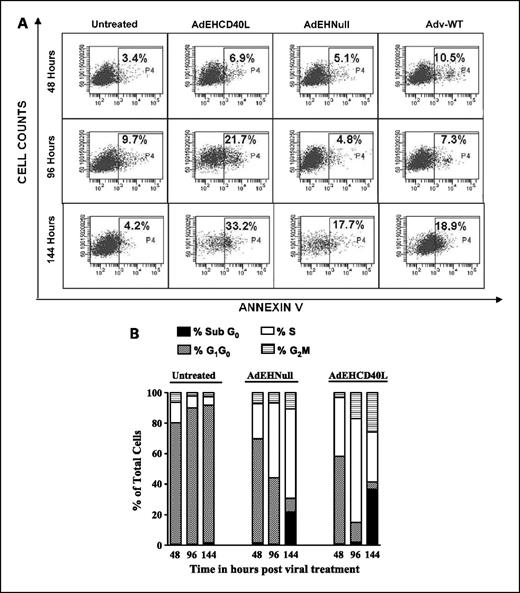 Fig. 4. ANN V/propidium iodide staining for apoptosis. A, apoptotic activity in AdEHCD40L-treated human breast cancer cells. Cytoxicity outcome following treatment with AdEHCD40L, AdEHNull, and Adv-WT (MOI = 1 pfu/cell) was determined by ANN V incorporation over 48 to 144 h. Values are mean ± SD (n = 3). B, effect of viral treatment on cell cycle distribution. Cell cycle distribution outcome from 48 to 144 h after treatment with AdEHCD40L, AdEHNull, and Adv-WT (MOI = 1 pfu/cell) was determined by flow cytometry after propidium iodide staining.