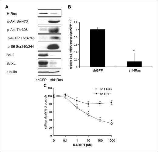 Fig. 4. Activation of Akt/mTOR signaling increases H-510 sensitivity to RAD001. A, H-510 cells stably transfected with pRS-shGFP nontargeting vector, or shRNA targeting H-Ras, were lysed and samples analyzed by SDS-PAGE and Western blotting with antibodies against the proteins indicated. B, TaqMan gene expression analysis was done to detect Bcl-2 mRNA in H-510 cells stably transfected with pRS-shGFP noneffective vector, or shRNA targeting H-Ras. *, P < 0.05. C, H-510 cells stably transfected with pRS-shGFP noneffective vector or shRNA targeting H-Ras were incubated with increasing concentrations of RAD001. Cell proliferation was assessed using the MTS assay after 3 d. The data are mean with SD from three independent experiments done in quadruplicate. *, P < 0.05.