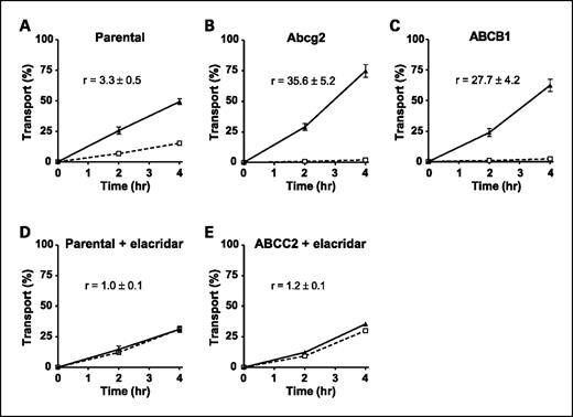 Fig. 1. Transepithelial transport of dasatinib (5 μmol/L) was assessed in MDCK-II cells either nontransduced (A and D) or transduced with murine Abcg2 (B) or human ABCB1 (C) or ABCC2 (E) cDNA. At t = 0 h, dasatinib was applied in one compartment (apical or basolateral), and the concentration in the opposite compartment at t = 2 and 4 h was measured by LC-MS/MS and plotted as the percentage of initial drug concentration (n = 3). D and E, elacridar (5 μmol/L) was applied to inhibit endogenous P-gp. ▴, translocation from the basolateral to the apical compartment; □, translocation from the apical to the basolateral compartment. Points, mean; bars, SD. At t = 4 h, 1% of transport is approximately equal to an apparent permeability coefficient (Papp) of 0.30 × 10−6 cm/s.