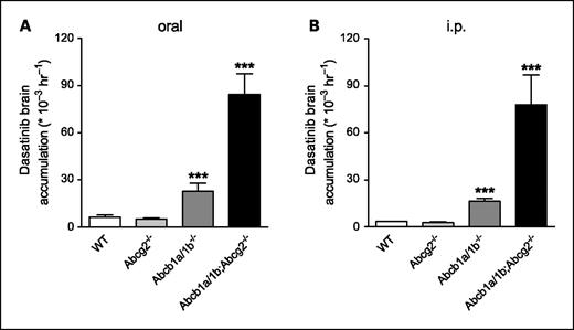 Fig. 3. Relative brain accumulation of dasatinib in male FVB WT, Abcg2−/−, Abcb1a/1b−/−, and Abcb1a/1b;Abcg2−/− mice after oral (A) or i.p. (B) administration of dasatinib at a dose of 10 mg/kg (oral) or 5 mg/kg (i.p.). Relative brain accumulation was calculated by determining the brain concentration relative to AUC0-6. Columns, mean (n = 5 for oral and n = 4 for i.p. administration); bars, SD. ***, P < 0.001, compared with WT mice.
