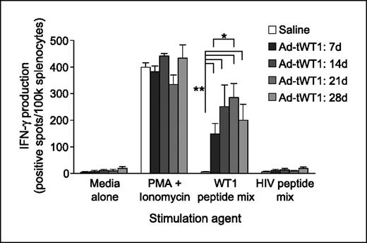 Fig. 2. Induction of WT1-specific IFN-γ production by T cells following Ad-tWT1 vaccination. C57BL/6 mice were vaccinated via footpad injection with either 40 μL of saline or 2.6 × 1010 particles of the Ad-tWT1 vector. Mice (n = 4/group) were sacrificed weekly and the splenocytes were harvested. T cells producing IFN-γ in response to stimulation with WT1 peptide mix, an HIV peptide mix (negative control), medium alone, or phorbol 12-myristate 13-acetate (PMA) + ionomycin (positive control) were measured in an ELISpot assay. Columns, mean number of spots (T cells secreting cytokine) at each time point; bars, SD. *, P < 0.005 for the comparison of saline control versus each time point of Ad-tWT1 vaccination. **, P < 0.01 for the comparison of the mean number of spots at day 21 versus day 7.