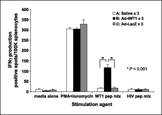 Fig. 5. Induction of WT1-specific T-cell response following Ad-tWT1 vaccinations in TRAMP-C2 tumor-bearing mice. C57BL/6 mice (n = 8/group) were inoculated with 1.0 × 106 TRAMP-C2 cells s.c. into the flank on day 0. On days 7, 14, and 21, mice were vaccinated via footpad injection with either 40 μL of saline, 2.6 × 1010 particles of the Ad-tWT1 vector, or 2.6 × 1010 particles of the Ad-LacZ vector. Mice were sacrificed on day 35 and the splenocytes were harvested. T cells producing IFN-γ in response to stimulation with WT1 peptide mix, a HIV peptide mix (negative control), medium alone, or phorbol 12-myristate 13-acetate + ionomycin (positive control) were measured in an ELISpot assay. Columns, mean number of spots (T cells secreting cytokine) depicted for each vaccine condition; bars, SD. *, P < 0.001 for the comparison of the mean number of spots following vaccination with Ad-tWT1 than with saline or Ad-LacZ.