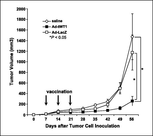 Fig. 6. Inhibition of tumor growth following Ad-tWT1 vaccinations in TRAMP-C2 tumor-bearing mice. C57BL/6 mice (n = 8/group) were inoculated with 1.0 × 106 TRAMP-C2 cells s.c. into the flank on day 0. On days 7, 14, and 21, mice were vaccinated via footpad injection with either 40 μL of saline, 2.6 × 1010 particles of the Ad-tWT1 vector, or 2.6 × 1010 particles of the Ad-LacZ vector. Tumor size was serially measured and mice were sacrificed on day 56. Points, mean of the tumor volume presented at each time point; bars, SD. A t test was done on the day 56 data. *, P < 0.05 for the comparison of the tumor volume between the Ad-tWT1 vaccinated mice and those vaccinated with Ad-LacZ or saline.