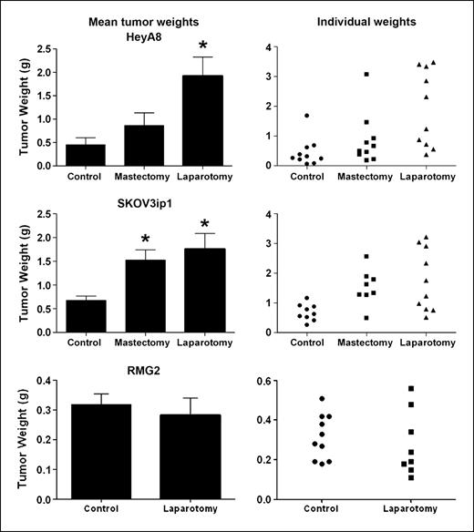 Fig. 1. Effect of surgical stress on in vivo ovarian cancer growth. Quantification of tumor weights in control (anesthesia alone) mice and in surgically stressed mice (mastectomy or laparotomy) that were injected i.p. with HeyA8, SKOV3ip1, or RMG-II ovarian cancer cells. Results represent the mean ± SE; n = 10 mice per group. *, P < 0.05, compared with control group.