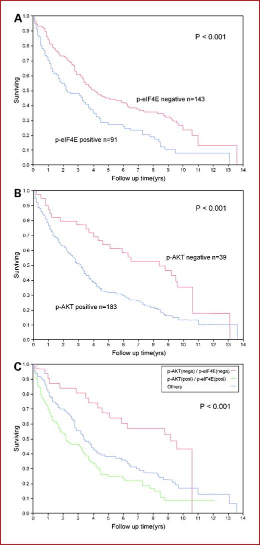 Fig. 2. Kaplan-Meier curve comparing overall survival for AKT, p-eIF4E, and various combinations of AKT and p-eIF4E: worse survival for p-eIF4E–positive patients (blue line) compared with p-eIF4E–negative patients (red line; A), worse survival for p-AKT–positive patients (blue line) compared with p-AKT–negative patients (red line; B), and worse survival for patients with a combination of p-AKT and p-eIF4E–positive tumors (green line; n = 83) compared with those with a combination of p-AKT– and p-eIF4E–negative tumors (red line; n = 31) and the other patients (blue line; n = 108; C).