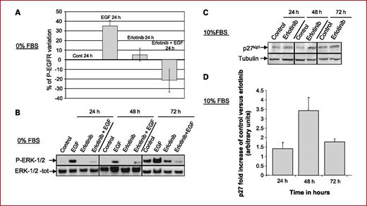 Fig. 1. Effects of erlotinib on the CAL33 proliferation pathway. Effects of erlotinib treatment (5 μmol/L) on P-EGFR (A; % of variation versus control quantification), ERK-1/2 (B), and p27kip1 (C and D; fold increase of variation versus control quantification) using Western blot (when indicated, EGF was added at 20 ng/mL during the 15 last min of the experiment). Data are representative of three independent experiments. FBS, fetal bovine serum.