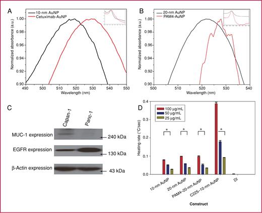 Fig. 1. Conjugation of 10-nm AuNP to cetuximab (C225) via a covalent linker (A) and 20-nm AuNP conjugated to PAM4 single-chain IgG via thiol–gold interaction (B) was seen with appropriate shifts in the peak plasmonic absorbance after NaCl challenge. C, Panc-1 expresses EGFR, the target of C225, whereas Capan-1 expresses the target of PAM4, MUC-1. D, Unconjugated and conjugated AuNPs in deionized water (DI) heat in the RF field in a concentration-dependent manner (*P < 0.0001 between low and high concentrations).