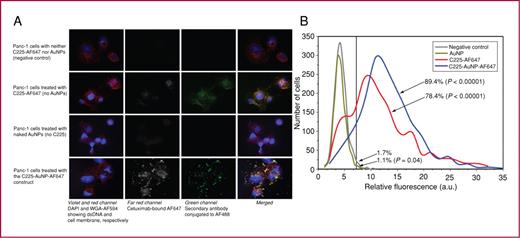 Fig. 3. AF 647–labeled C225 demonstrates significant colocalization with the secondary anti-IgG, suggesting that the C225-AuNP construct remains intact after internalization into the cell (A). Although there is mild autofluorescence (<2%) in the far red channel (second column from left, confocal microscopy), using a fluorescent threshold of 7 arbitrary units (a.u.) shows that more than 78% of cells contain measurable levels of AF 647–labeled C225 regardless if AuNPs are conjugated. B, Based on fluorescence cell counting, the percentages represent the proportion of cells with fluorescence greater than 7 a.u. whereas the P value compares the mean fluorescence intensity of each distribution to the negative control.