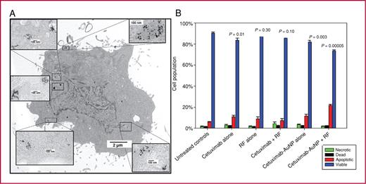 Fig. 4. Transmission electron microscopy shows internalization of AuNPs in Panc-1 cells after treatment with 100 μg/mL of AuNP-conjugated C225 for 3 hours (A). After RF field exposure, Panc-1 cells treated with C225-AuNP show significantly increased apoptosis (B, red bar). Statistical significance compares differences in the viable cell population (blue bar) between each group and the untreated control group on the basis of flow cytometry (B, far left group).