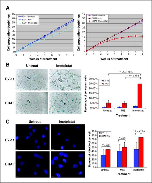 BRAF-KIAA1549 Fusion Predicts Better Clinical Outcome in Pediatric Low ...