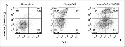 Figure 1. Expression of mesoCAR and CCR2b after lentivirus (LV) transduction. Bead-activated T cells (left), bead-activated, LV-mesoCAR transduced T cells (middle), or bead-activated, LV-mesoCAR and LV-CCR2b transduced T cells (right) were studied by using 2 color FACS analysis. Expression of the mesoCAR is shown on the y-axis. Expression of CCR2 is shown on the x-axis.