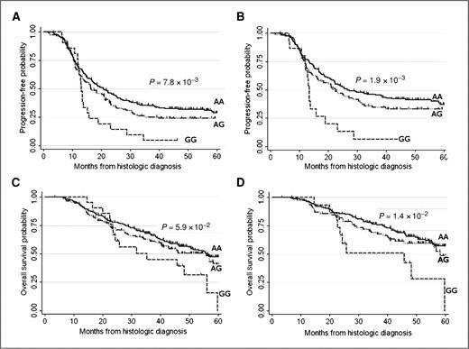 Figure 2. Kaplan–Meier plots for rs1649942 genotype effect on PFS and OS probabilities in all phase 1 AOCS patients (n = 377) and a subset of optimally debulked patients (n = 271). Log-rank P values compare survival probabilities across genotypes, and tick marks indicate censoring events. rs1649942 genotype effect on PFS in all patients (A) and optimally debulked patients (B); OS in all patients (C) and optimally debulked patients (D).