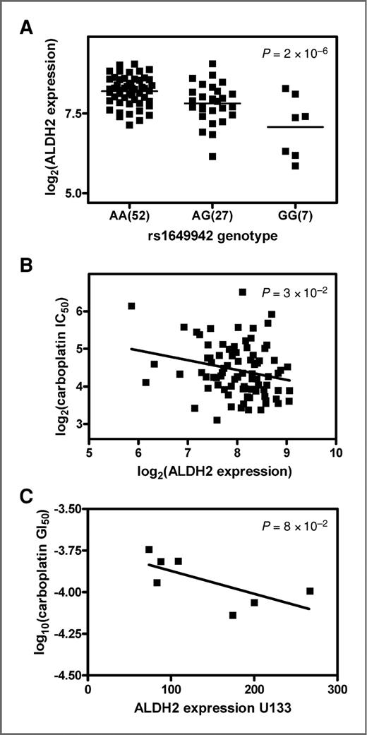 Figure 3. Relationship between rs1649942, ALDH2 gene expression, and carboplatin sensitivity. A, rs1649942 genotype and log2-transformed ALDH2 expression association in the HapMap CEU samples (n = 86). B, correlation between log2 carboplatin IC50 and log2-transformed ALDH2 expression in the HapMap CEU samples. C, correlation between log10-transformed carboplatin GI50 and log2-transformed ALDH2 expression in 7 ovarian cancer cell lines as a subset of the NCI-60 cell panel using GC180405 microarray_U133 data.