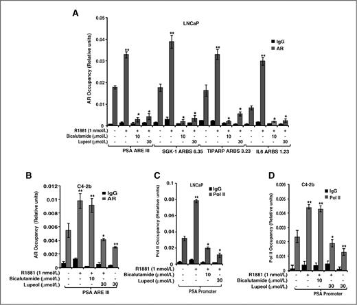 Figure 4. Effect of lupeol (A and B) on AR occupancy on AR-binding sites in AR-responsive genes and (C and D) occupancy of RNA Pol II enzyme on promoter site of PSA. A, histogram shows the effect of lupeol on AR occupancy in AR-responsive genes PSA, SGK-1, TIPARP, and IL6 in LNCaP cells. Cells were treated with the R1881, bicalutamide, and lupeol for 48 hours and were assayed for AR occupancy by employing ChIP assay as described in Materials and Methods. B, histogram shows the effect of lupeol on AR occupancy in AR-responsive gene PSA in C4-2b cells as assessed by ChIP assay. Cells were treated with lupeol for 48 hours, followed by ChIP assay. C and D, histogram shows the effect of lupeol on the RNA Pol II occupancy on promoter site of PSA in LNCaP and C4-2b cells. Each bar in the histogram represents mean ± SE of 3 independent experiments, * represents P < 0.05 of 3 independent experiments, compared with R1881 treated cells (1 nmol/L); ** represents P < 0.05, compared with control.