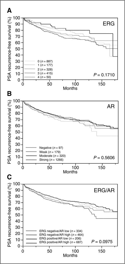 Figure 2. Influence of (A) ERG immunostaining, (B) androgen receptor (AR) immunostaining, and (C) combined ERG and AR immunostaining on PSA recurrence.