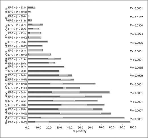 Figure 3. Molecular findings in ERG-positive and ERG-negative tumors. The figure describes previously collected molecular findings obtained by FISH and IHC using various methods according to specific properties to the analyzed gene/protein. Overall the data show that for the majority of analyzed parameters, the difference between ERG-positive and ERG-negative tumors is rather low in absolute numbers but statistically significant. The color code varies between the analyzed parameter: AMACR, CD166, chromogranin A (CHA), EGFR, mTOR, p53, SSTR2, synaptophysin (SYN): weak (dark grey), moderate (light grey), strong (medium grey). Bcl2: low (dark grey), high (light grey). CD10: apical (dark grey), cytoplasmatic (light grey), mixed staining (medium grey). C-Myc: gene polysomy (dark grey), gene gain (light grey), gene amplification (medium grey). HER2 immunostaining: 1+, 2+, and 3+ combined. Lipoprotein lipase (LPL): gene loss. Annexin A3 (ANX3): weak (dark grey), moderate (light grey), and strong staining (medium grey).
