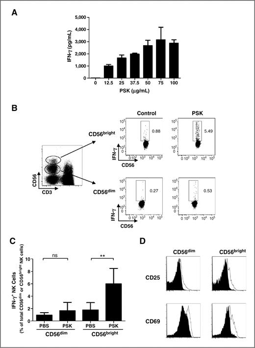 Figure 1. PSK stimulates IFN-γ production from CD56bright NK cells. A, dose-dependent induction of IFN-γ secretion by PSK. Shown are IFN-γ concentrations (mean ± SD) in culture supernatant from duplicate culture wells of PBMCs stimulated with different concentrations of PSK for 24 hours. Similar results were obtained from 3 different donors. B, representative dot plots showing the gating of CD56dim and CD56bright NK cells and IFN-γ production in PBS control or PSK-stimulated CD56dim or CD56bright NK cells. C, summary graph showing the mean ± SD of the percentages of IFN-γ–positive cells among total CD56dim and CD56bright NK cells in PBMCs from 5 different donors. ns, not significant; **, P < 0.01 using 2-tailed Student t test. D, overlay histogram showing CD25 and CD69 expression on CD56dim and CD56bright NK cells. Filled histogram, NK cells from control PBS group; unfilled histogram, NK cells from PBMCs treated with PSK (100 μg/mL). Results are representative of 3 independent experiments.