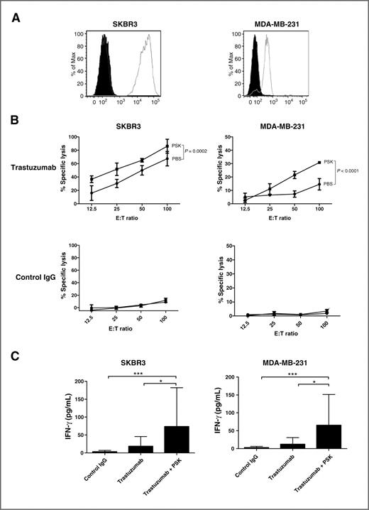 Figure 3. PSK enhances trastuzumab-mediated ADCC against SKBR3 and MDA-MB-231 breast cancer cells. A, expression of HER2 on SKBR3 and MDA-MB-231 cells. The cells were stained with PE-conjugated anti-human HER2 (empty histogram) or isotype control (filled histogram). B, percentages of specific lysis of trastuzumab- or control IgG–coated SKBR3 and MDA-MB-231 target cells. Shown are mean ± SD of triplicate wells at different E:T ratios. ▪, PSK-stimulated effector PBMCs;, control PBS-treated effector cells. PBMCs were treated with PSK (10 μg/mL) in RPMI for 72 hours before the initiation of cytolytic assay. Differences between PBS and PSK groups at different E:T ratios were analyzed using ANOVA. Similar results were obtained using PBMCs from 5 different donors as summarized in Supplementary Table. C, IFN-γ levels (mean ± SD) in culture supernatant from the 4-hour ADCC incubation. Control IgG, tumor targets were coated with control irrelevant IgG and incubated with PBMCs with no prior PSK stimulation; trastuzumab, tumor cells were coated with trastuzumab and then incubated with PBMCs with no prior PSK stimulation; trastuzumab + PSK, tumor cells were coated with trastuzumab and incubated with PSK (10 μg/mL, 72 hour)-stimulated PBMCs. *, P < 0.05; ***, P < 0.001 by the Mann–Whitney U test. Results are representative of 3 independent experiments.
