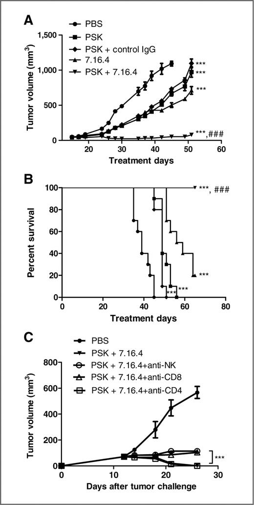 Figure 6. PSK enhances the antitumor effect of 7.16.4 in neu transgenic mice, and the antitumor effect of combinatorial PSK and 7.16.4 is partially dependent on NK cells and CD8 T cells. Tumor growth curve (A) and overall survival (B) in mice receiving PBS (•), PSK (▪), control IgG + PSK (⧫), 7.16.4 (▴), 7.16.4 plus PSK (▾). Each data point in A represents mean ± SD in the treatment group, n = 10 per group. Similar results were obtained from 2 independent experiments. ***, P < 0.001 from control PBS group using ANOVA. ###, P < 0.001 between 7.16.4 and PSK + 7.16.4 using ANOVA. C, tumor growth curves in mice receiving PBS (•), PSK + 7.16.4 (▾), PSK + 7.16.4 with NK cell depletion (○), PSK + 7.16.4 with CD8 T cell depletion (Δ), or PSK + 7.16.4 with CD4 T cell depletion (□). The treatment with PSK + 7.16.4 mAb or control PBS was initiated on day 12. The depletion antibodies were administered 3 times a week before PSK treatment and then 2 times a week during PSK treatment. Each data point represents the average tumor volume in each group (mean ± SD, n = 5 per group). The difference between no-depletion group (PSK + 7.16.4) and depletion groups was calculated using 2-tailed Student t test. ***, P < 0.001 between CD8 T cell or NK cell depletion group and no-depletion group (PSK + 7.16.4). There is no difference between CD4 T cell depletion group and no-depletion group.