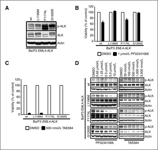 Figure 1. PF02341066 resistance mutations show differential kinase activity and sensitivity to structurally diverse ALK inhibitors. A, cellular extracts of Ba/F3 cells expressing the indicated EML4–ALK cDNAs were prepared and analyzed for p-ALK, ALK, and actin protein levels by immunoblotting. B, EML4–ALK-expressing Ba/F3 cells were treated with PF02341066 with the indicated concentrations. After 48 hours of treatment, trypan blue–negative (viable) and trypan blue–positive (dead) cells were counted in triplicate. C, EML4–ALK-expressing Ba/F3 cells were treated with TAE684 with the indicated concentrations. After 48 hours of treatment, trypan blue–negative (viable) and trypan blue–positive (dead) cells were counted in triplicate. D, Ba/F3 cells expressing the indicated ALK mutations were treated with PF02341066 or TAE684. Levels of ALK phosphorylation were determined by immunoblotting after 6 hours of ALK inhibitor treatment. wt, wild-type.