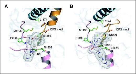 Figure 2. ALK resistance mutations that confer resistance PF02341066 and/or TAE684. A, crystal structures showing PF02341066 bound to ALK. Amino acids that confer resistance to ALK inhibitors if mutated (G1123S, F1174L, L1196M, L1198P, D1203N, and G1269S) are indicated. B, crystal structures showing TAE684 bound to ALK. Amino acids that confer resistance to ALK inhibitors, if mutated (G1123S, F1174L, L1196M, L1198P, D1203N, and G1269S), are indicated.