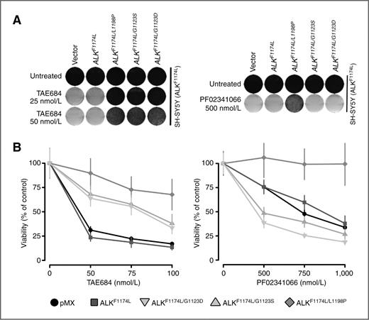 Figure 4. G1123S/D and L1198P mutations induce distinct resistance to ALK inhibitors in ALKF1174L-expressing SH-SY5Y cells. A, SH-SY5Y cells stably expressing the indicated resistance mutations were treated with the indicated doses of TAE684 (left) or PF02341066 (right). After 2 weeks of treatment, dishes with cells were stained with crystal violet and photographed. B, SH-SY5Y cells expressing the indicated mutations were treated with TAE684 (left) or PF02341066 (right). Viability was determined by resazurin to resorufin conversion after 5 days of treatment. Viability is shown as a function of compound dose and expressed as values relative to untreated controls.