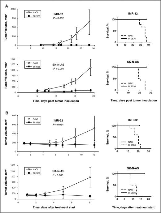Figure 5. Antineuroblastoma effect of BI 2536 on IMR-32- and SK-N-AS-tumor growth in immunodeficient nu/nu mice. Tumor volume (left panel) and Kaplan–Meier survival curves (right panel) in 2 different settings: Starting 2–3 days post injection of IMR-32 or SK-N-AS cells into the flank of nude mice, animals received vehicle (IMR-32, n = 9; SK-N-AS, n = 10) or BI 2536 (IMR-32, n = 10; SK-N-AS, n = 10) at doses of 50 mg/kg once weekly via intravenous injection (A). Starting after IMR-32 or SK-N-AS tumors had reached mean volumes of 182 ± 52 mm3 in the control and 201 ± 69 mm3 in the treatment group, animals received vehicle (IMR-32, n = 10; SK-N-AS, n = 6) or BI 2536 (IMR-32, n = 9; SK-N-AS, n = 6) at doses of 50 mg/kg twice weekly via intravenous injection (B). Treatment was continued for the duration of the study. Dots, average volume of 6–10 tumors; bars, 95% confidence interval.