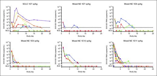 Figure 2. SVV-001 viral titers following IV administration, by cohort. Evaluation of circulating SVV-001 virus in serum was assessed over time by quantitative RT-PCR. Each linear plot represents titers measured in an individual patient. Data are presented by dose administered.