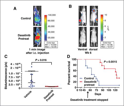 Figure 5. Inhibition of metastasis by adjuvant dasatinib treatment in an experimental metastasis model. Mice were pretreated with dasatinib (50 mg/kg) or vehicle by daily oral gavage 2 days before intracardiac (i.c.) injection of BCPAP cells (1 × 105/100 μL) into the left ventricle of athymic nude mice. A, representative images of vehicle or dasatinib-treated mice obtained by IVIS imaging 1 minute after i.c. injection shows widespread distribution of cancer cells. B, representative images of metastases 6 weeks post-i.c. injection. C, total bioluminescence activity (photons/s) at week 6 is shown for the vehicle and dasatinib-pretreated mice. Data points represent whole body bioluminescence activity of individual animals. Horizontal bars represent the mean ± SEM, n = 9–13 per group. Statistical analysis was conducted using the Student t test. D, Kaplan–Meier curve representing overall survival of vehicle versus dasatinib-pretreated mice. Dasatinib treatment was stopped at day 56, and the survival experiment was stopped at day 130. Statistical analysis was conducted using the log-rank test.