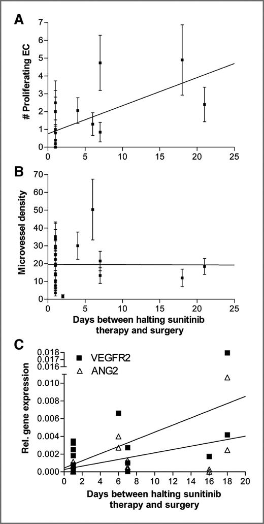 Figure 5. Onset of angiogenesis after discontinuation of sunitinib treatment. Positive correlation (P < 0.001) between the number of proliferating endothelial cells with the time interval between treatment stop and cytoreductive surgery (A) and lack of this correlation with microvessel density (B). C represents the linear regression analyses of the gene expression with the time period between halting the sunitinib therapy and surgery. The correlation plots in C shows the most significantly correlating genes VEGFR2 and ANG2. Correlation and P values for these and the other tested genes are shown in Table 2.