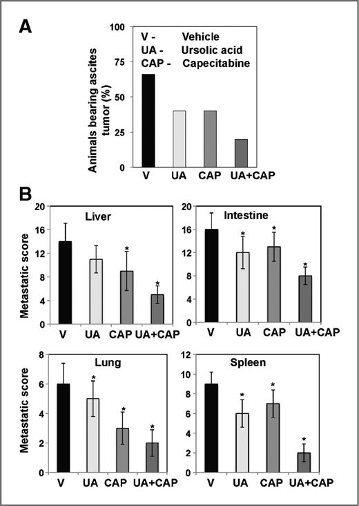 Figure 3. Ursolic acid potentiates capecitabine to inhibit ascites and distant organ metastasis in orthotopic CRC in nude mice. A ursolic acid combined with capecitabine inhibited the development of ascites in CRC. The number of mice with ascites was counted on the day of experiment termination, and the percentages of mice with ascites tumors were plotted. B, combined ursolic acid and capecitabine inhibited metastasis to the liver, intestines, lungs, and spleen. Mice were sacrificed, and abdomens were opened surgically. The number of metastatic foci in each organ was then counted. *, significant [Bonferroni Adj (for 3 comparisons) P < 0.05] over vehicle control (V, vehicle; UA, ursolic acid; CAP, capecitabine).