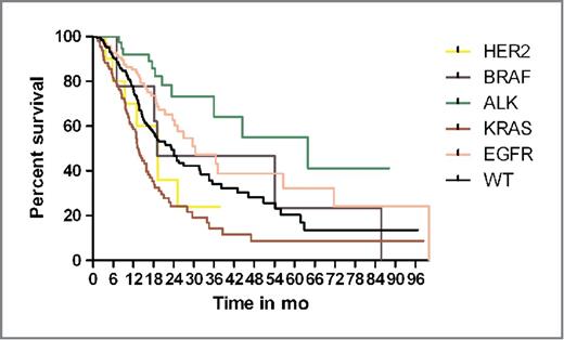 Figure 2. Kaplan–Meier curve for overall survival in patients with advanced stage (IIIB/IV) disease. The overall survival of the HER2 cohort was not statistically different from the other molecularly defined cohorts.