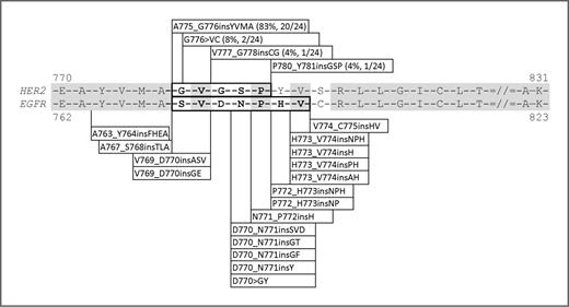 Figure 4. Positions of the HER2 exon 20 insertions identified in the present study and comparison with the spectrum of EGFR exon 20 insertion mutations identified at our institution over a 3-year period. Insertions in HER2 show significantly less heterogeneity compared with EGFR with over 80% of HER2 alterations being represented by the A775_G776insYVMA.