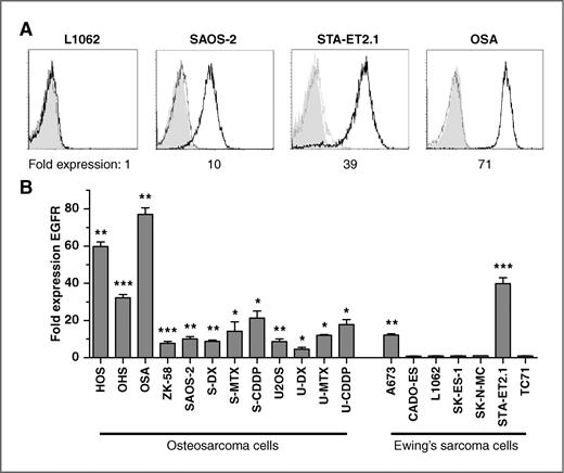 Figure 1. EGFR is expressed on the surface of sarcoma cell lines. Surface expression of EGFR on osteosarcoma and Ewing's sarcoma cell lines was measured by flow cytometry using the anti-EGFR mAb cetuximab followed by the Alexa Fluor-647 goat anti-human IgG secondary antibody. A, representative FACS overlay plots, detecting EGFR by cetuximab (bold solid line) and CD20 by the isotype-matched, negative control mAb rituximab (solid line), both followed by secondary antibody and secondary antibody only (grey area). The indicated fold expression of EGFR was calculated by dividing the geometric mean fluorescence intensity of EGFR by the geometric mean fluorescence intensity of the control CD20. B, combined data of the fold change of EGFR expression on all tested sarcoma cell lines of multiple experiments. *, P < 0.05; **, P < 0.01; ***, P < 0.001.