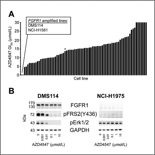 Figure 1. Potent in vitro AZD4547 antiproliferative activity correlates with FGFR1 gene amplification and pharmacodynamic activity in a lung cancer cell line panel screen. A, GI50 values (y-axis) of AZD4547 across 78 lung cancer cell lines (x-axis). Only DMS114 and NCI-1581 lines are FGFR1-amplified (copy number ≥ 4). Cell line NCI-H1975 (used in B below) is marked with an asterisk. B, AZD4547 treatment inhibits FGFR signaling through p-FRS2 and p-Erk1/2 in DMS114, but not NCI-H1975. Cell lines were incubated for 2 hours with the stated concentrations of AZD4547 and then lysed and immunoblotted for the proteins indicated.