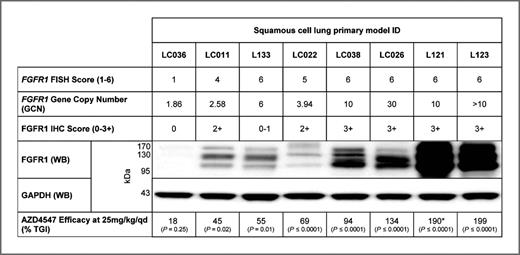 Figure 4. AZD4547 antitumor efficacy correlates well with FGFR1 gene and protein expression levels. Model summary table displaying FGFR1 FISH score, gene copy number (GCN), IHC score, protein expression by Western blotting, and antitumor efficacy in response to 2 to 3 weeks, once daily oral AZD4547 treatment (25 or 12 mg/kg). Western blot data were obtained using FGFR1 and GAPDH antisera on fresh tumor fragment lysates. P values were calculated using a one-tailed t test. *, AZD4547 dosed at 12.5 mg/kg/qd.