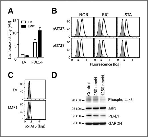 Constitutive AP-1 Activity and EBV Infection Induce PD-L1 in Hodgkin ...