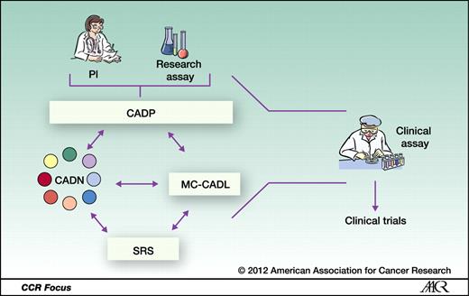 Figure 2. Overview of the workflow of the CADP. The PI (assay submitter) with a research assay applies to the CADP (http://cadp.cancer.gov). If the assay is selected, the PI and the assay are assigned to one or more CADN laboratories (small colored circles), which then work with the PI (submitter) and the CADP management team. Specimens are provided as needed and considered fit-for-purpose by the SRS. If appropriate, the MC-CADL may assist with the development of the assay. After the assay has been developed and its analytical performance has been validated, the clinical assay is returned to the submitter from the CADP and is considered ready for use in clinical trials. It should be noted that it is possible for the CADN laboratories to assist in the performance of the assay in clinical trials, but this arrangement would be made by the assay submitter, not through the CADP. PI, principal investigator.