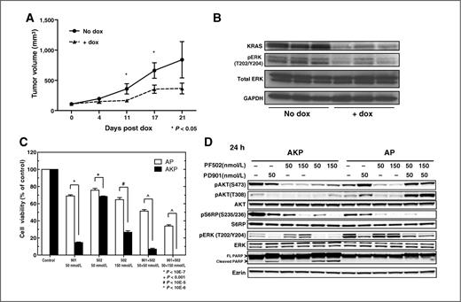 Figure 4. AKP cell lines are dependent on oncogenic MAPK and PI3K/AKT signaling. A, in vivo tumor growth inhibition of AKP tumor–derived cell lines by doxycycline (dox) inducible Kras knockdown. B, representative Western blot analysis of established subcutaneous tumors following mock or doxycycline treatment. Tumors were harvested 4 days after induction of shRNA. C, Western blot analysis of the MAPK and PI3K/AKT pathways following single or combination treatment with the pathway selective inhibitors PD-325901 and PF-04691502. AKP and AP cells were treated with control, 50 nmol/L PD-325901, 50 or 150 nmol/L PF-04691502, or combinations for 72 hours, and cell viability was assessed. D, Western blot analysis of AKP and AP cells treated with control, 50 nmol/L PD-325901, 50 or 150 nmol/L PF-04691502, or combinations for 24 hours.