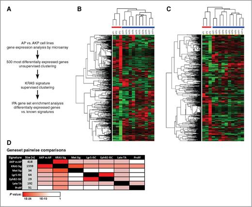 Figure 5. Gene expression analysis of AP and AKP cell lines. A, workflow of genomic analysis conducted on AP and AKP cell lines. B, unsupervised clustering results based on the 500 most varied genes from 3 AP and 10 AKP cell lines. Log2-transformed data were further adjusted by means and then clustered. Cell lines clearly cluster based on genotype. C, supervised clustering was conducted on the 3 AP and 10 AKP cell lines, using an independent Kras signature gene list (Kras Sig, see Materials and Methods). A total of 544 differentially expressed genes were used in this clustering (see Materials and Methods). Log2-transformed data was adjusted and clustered as in (B). Again, cell lines cluster based on genotype. D, pairwise comparisons using the AKP versus AP signature and published CRC signatures. A detailed description of each signature is provided in the Supplementary Methods.