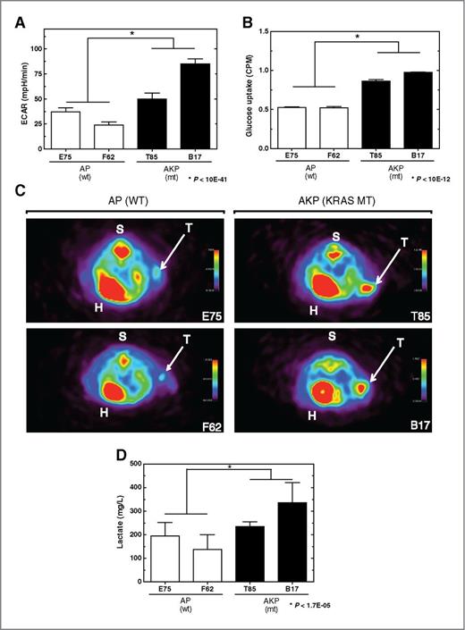 Figure 6. Assessment of in vivo glucose uptake and lactate production in subcutaneous tumors. A, in vitro measurement of ECAR in AP and AKP cell lines. B, in vitro glucose uptake in AP and AKP cell lines. C, subcutaneous tumors imaged by PET following injection of FDG. Regions of enhanced signal include heart (H), spine (S), and tumor (T). Tumors from AKP cell lines (Kras mutant) display a greater signal than those from AP cell lines (Kras wild-type). D, AKP tumors display elevated lactate metabolite abundance.
