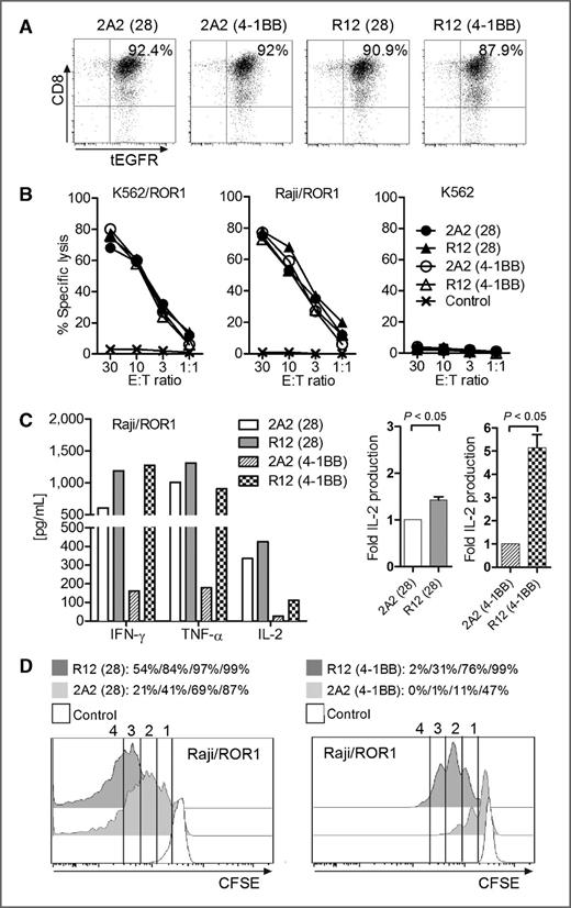 Figure 2. Antitumor reactivity of T cells modified with ROR1-CARs derived from mAb R12 with higher affinity than 2A2. A, tEGFR expression on purified polyclonal CD8+ TCM-derived T-cell lines modified with each of the R12 and 2A2 ROR1-CARs with short IgG4-Fc “Hinge” spacer, and CD28 or 4-1BB costimulatory domain. B, cytotoxicity against ROR1+ and control target cells by T cells expressing R12 and 2A2 ROR1-CARs or a tEGFR control vector. C, multiplex cytokine assay of supernatants obtained after 24 hours from cocultures of 5 × 104 T cells expressing the various ROR1-CARs with Raji/ROR1 tumor cells. The middle/right bar diagrams show normalized multiplex data from 3 independent experiments (cytokine release by ROR1-CAR 2A2 = 1) analyzed by Student t test. D, proliferation of ROR1-CAR T cells and tEGFR control T cells 72 hours after stimulation with Raji/ROR1 cells and without addition of exogenous cytokines was assessed by CFSE dye dilution. Numbers above each histogram indicate the number of cell divisions the proliferating subset underwent, and the fraction of T cells in each gate that underwent ≥4/3/2/1 cell divisions is provided above each plot.