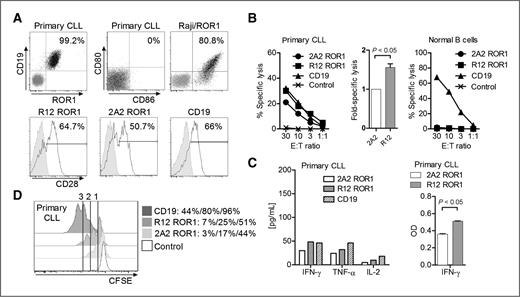 Figure 3. Recognition of primary CLL by T cells modified with 2A2 and R12 ROR1-CARs with optimal short spacer and 4-1BB costimulatory domain or with a CD19-specific CAR. A, expression of ROR1/CD19 on primary CLL, and CD80/86 on primary CLL and Raji/ROR1 tumor cells (black dot plots) that can engage CD28 on CAR T cells (black histograms). Staining with matched isotype control mAbs is shown as gray dot plots/histograms. B, cytolytic activity of T cells expressing the 2A2 and R12 ROR1-CAR, a CD19-specific CAR, and T cells modified with a tEGFR control vector against primary CLL (left diagram) and normal B cells (right diagram) analyzed by chromium release assay. Cytotoxicity data against primary CLL from 4 independent experiments (E:T = 30:1) were normalized (cytolytic activity by ROR1-CAR 2A2 = 1) and analyzed by Student t test (bar diagram). C, multiplex cytokine analysis after a 24-hour stimulation of 5 × 104 CAR T cells with primary CLL cells. Cytokine release of unstimulated CAR T cells was below 3.6 pg/mL (detection limit; left bar diagram). ELISA for IFN-γ production by 5 × 104 2A2 and R12 ROR1-CAR T cells after a 24-hour coculture with primary CLL. Optical density (OD) of 1 corresponds to approximately 250 pg/mL (right bar diagram). D, proliferation of CD8+ T cells modified with the 2A2 ROR1, R12 ROR1, and a CD19-CAR, 72 hours after stimulation with primary CLL cells. Numbers above each histogram indicate the number of cell divisions, and the fraction of T cells in each gate that underwent ≥3/2/1 cell divisions is provided next to each plot.