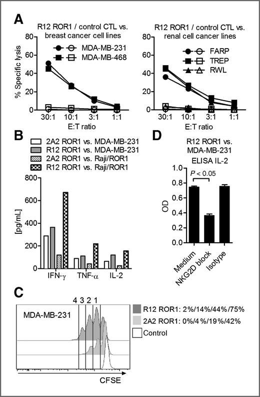 Figure 5. ROR1-CAR modified T cells recognize ROR1+ epithelial tumor cells in vitro. A, chromium release assay to evaluate the cytolytic activity of R12 ROR1-CAR modified T cells (short spacer/4-1BB domain, closed symbols) and tEGFR control T cells (open symbols) against ROR1+ breast cancer and renal cell cancer lines. A to D, the 2A2 and R12 ROR1-CARs had the optimal short spacer and a 4-1BB costimulatory domain. B, multiplex cytokine analysis after stimulation of T cells expressing the 2A2 and R12 ROR1-CAR with MDA-MB-231 and Raji/ROR1 tumor cells. C, proliferation of CD8+ T cells modified with the 2A2 and R12 ROR1-CAR 72 hours after stimulation with MDA-MB-231 tumor cells. For analysis, triplicate wells were pooled and the proliferation of live (PI−), CD8+ T cells analyzed. Numbers above each histogram indicate the number of cell divisions the proliferating subset underwent, and the fraction of T cells in each gate that underwent ≥4/3/2/1 cell divisions is provided next to each histogram. D, ELISA for IL-2 production by R12 ROR1-CAR T cells after a 24-hour coculture with MDA-MB-231 in plain medium, and after addition of an antibody cocktail blocking the NKG2D pathway [anti-NKG2D (clone 1D11), anti-MICA/B (clone 6D4) and anti-ULBP] or matched isotype control mAbs. Optical density (OD) of 0.6 corresponds to approximately 1,900 pg/mL.