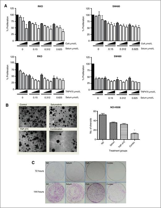 Figure 2. Antiproliferative effects of selumetinib (Selum) in combination with CsA or TNP-470 in SW480, RKO, and NCI-H508 cells. A, results of SRB proliferation assay after 72 hours of exposure to indicated concentrations of selumetinib alone or in combination with CsA (1.25, 2.5, and 5 μm/mL), or TNP-470 (2.5, 5, and10 μm/mL) as indicated by triangles. Data are expressed as percent proliferation compared with no drug controls ± SD. B, representative images of 3D cultures of NCI-H508 colorectal cancer cell line spheroids treated with selumetinib and TNP-470 for 3 weeks, as described in Materials and Methods. Antiproliferative effects for each treatment group were quantified by averaging the number of spheroids in 4 separate fields per chamber at ×4 magnification. Bar graph depicts mean of 3 separate experiments ± SD. C, representative images of clonogenic assays of SW480 cell line treated with either single agents selumetinib (0.3 μm/mL) or CsA (5 μm/mL), or in combination for 72 hours. Cells were then stained with crystal violet at 72 hours (top) or allowed to regrow for an additional 72 hours before staining (144 hours; bottom).