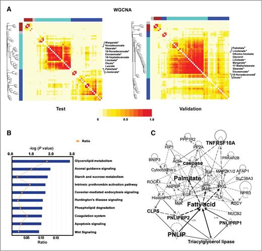 Figure 1. Integration of metabolomics and transcriptomics revealed altered lipid metabolism pathways in PDAC. A, weighted network analysis showed that the turquoise-colored module was highly conserved in both test and validation cohort. 8 fatty acids (indicated by stars) with high connectivity (IMconn > 6, Table 1) in both cohorts represent the main hubs in the metabolite network that were chosen for integration analysis. B, canonical pathways analysis identified 10 pathways from the Ingenuity Pathways Analysis (IPA) library of canonical pathways that were most significant (P < 0.05) to the data set of 157 surrogate genes for the unique set of 8 fatty acids in PDAC. Glycerolipid metabolism was the most significantly enriched pathway. C, IPA analysis revealed a lipid metabolism network involving 4 lipases and fatty acids highlighted here, that may potentially regulate and interact with apoptosis signaling pathways. Lipolytic genes PNLIP, CLPS, PNLIRP1, and PNLIPRP2 from the surrogate gene dataset, play central roles in lipolysis.