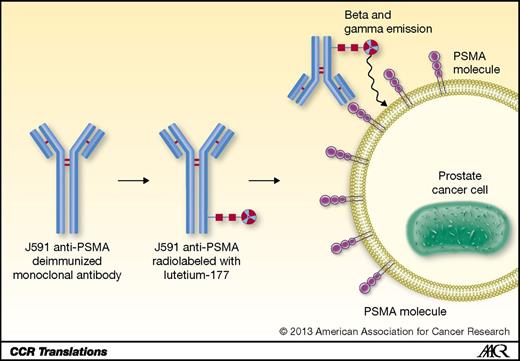 What's in a Label? Radioimmunotherapy for Metastatic Prostate Cancer ...